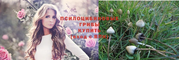 ALPHA PVP Волосово