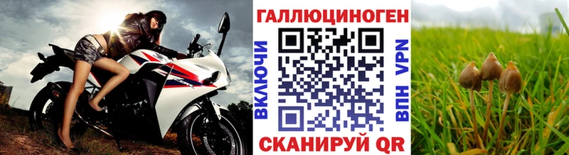 Галлюциногенные грибы мицелий Гудермес