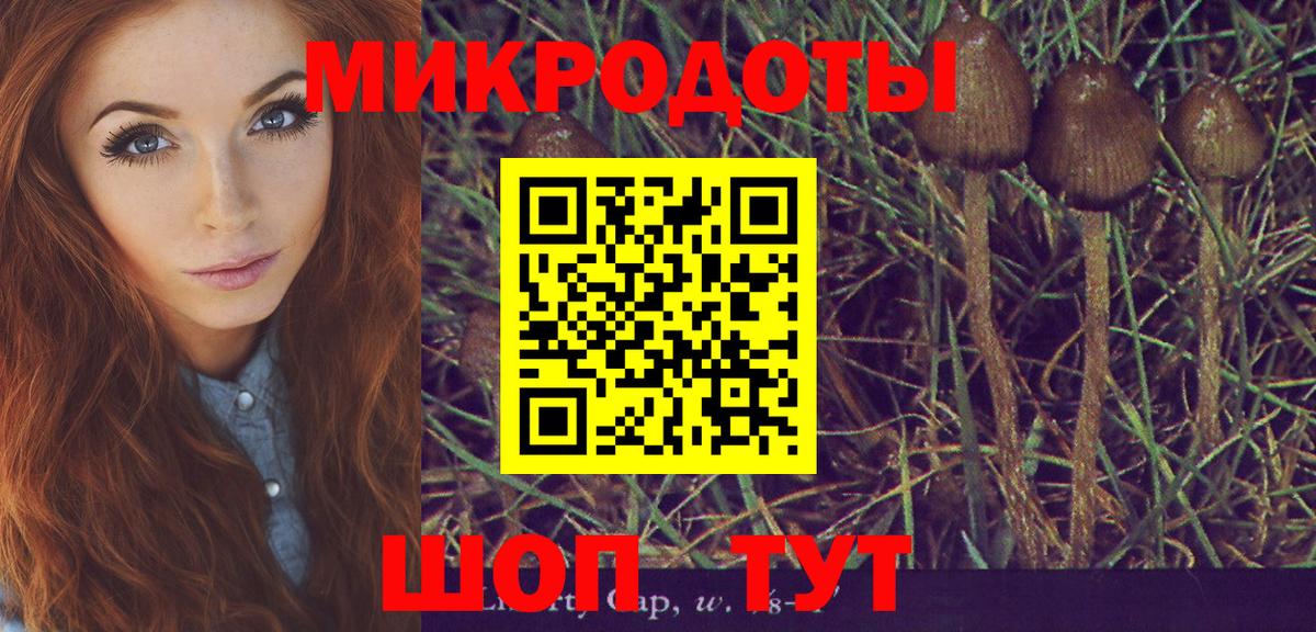 Псилоцибиновые грибы мухоморы  Вход с VPN  купить наркотики цена  Гудермес 