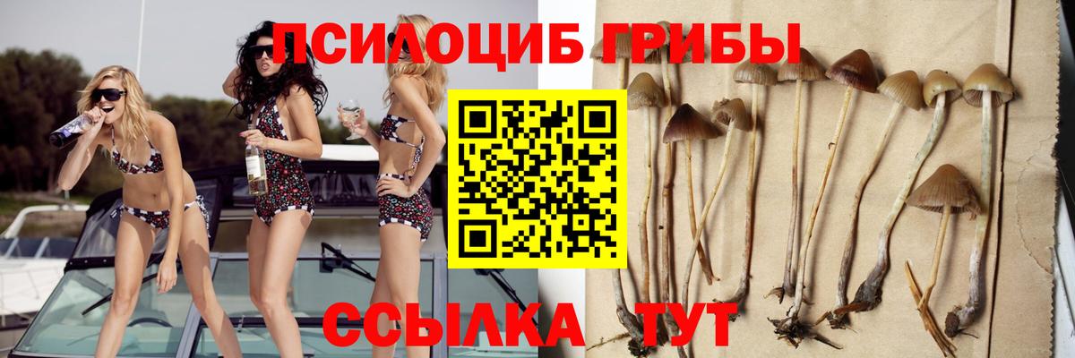 Галлюциногенные грибы GOLDEN TEACHER Гудермес