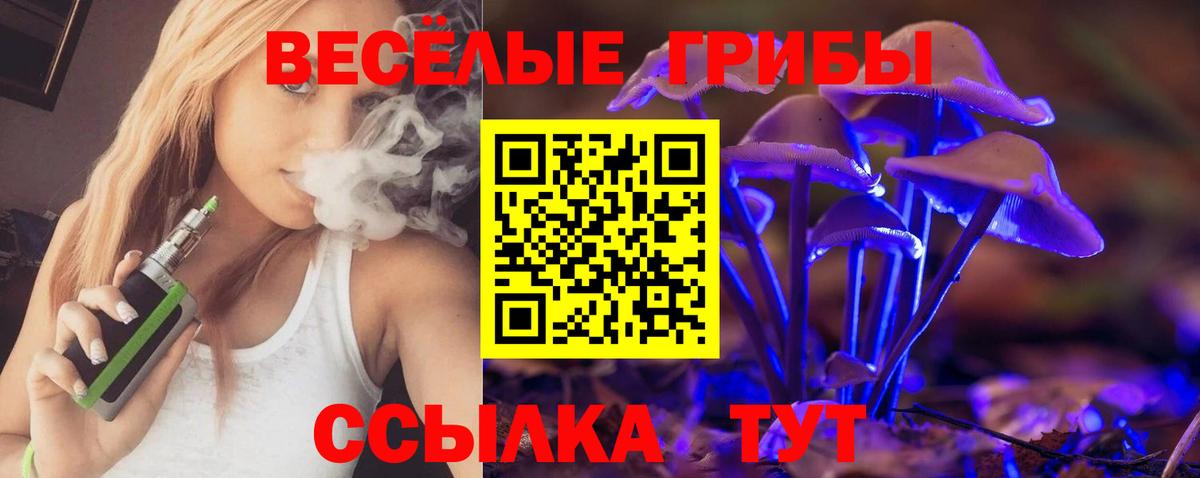 Галлюциногенные грибы Psilocybine cubensis Гудермес